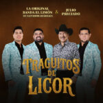 La Original Banda El Limón de Salvador Lizárraga, Julio Preciado - Traguitos De Licor
